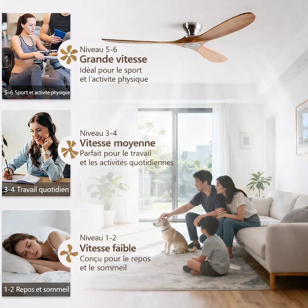 Ashland ceiling fan installed above a living room seating area